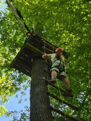 Foto des Albums: Jugendausflug in den Kletterwald