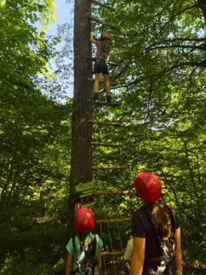 Foto des Albums: Jugendausflug in den Kletterwald