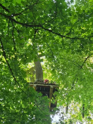 Foto des Albums: Jugendausflug in den Kletterwald