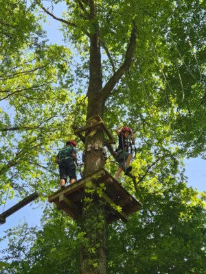 Foto des Albums: Jugendausflug in den Kletterwald
