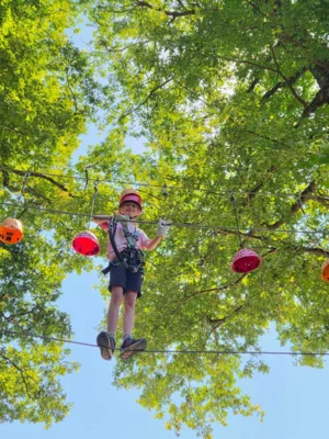 Foto des Albums: Jugendausflug in den Kletterwald