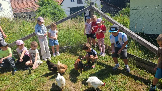 Bild: Besuch auf dem Pettenhof (4)