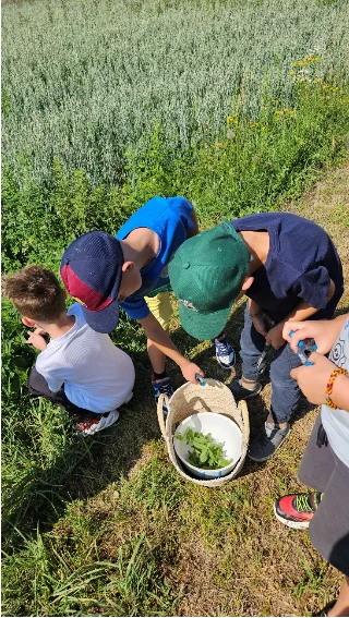 Bild: Besuch auf dem Pettenhof (7)