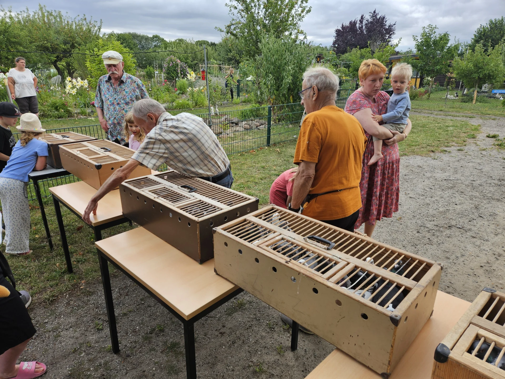 Bild der Galerie