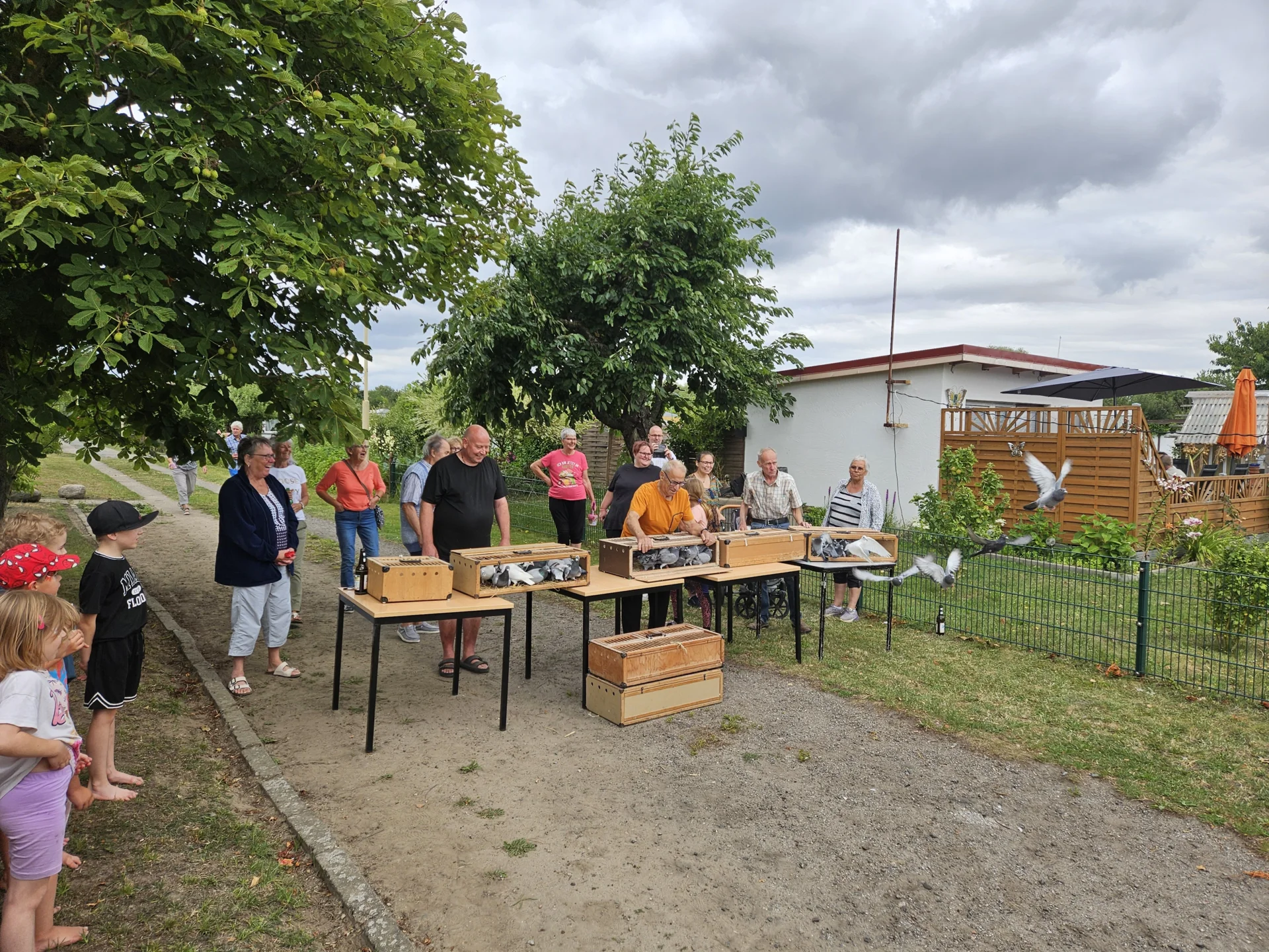 Bild der Galerie