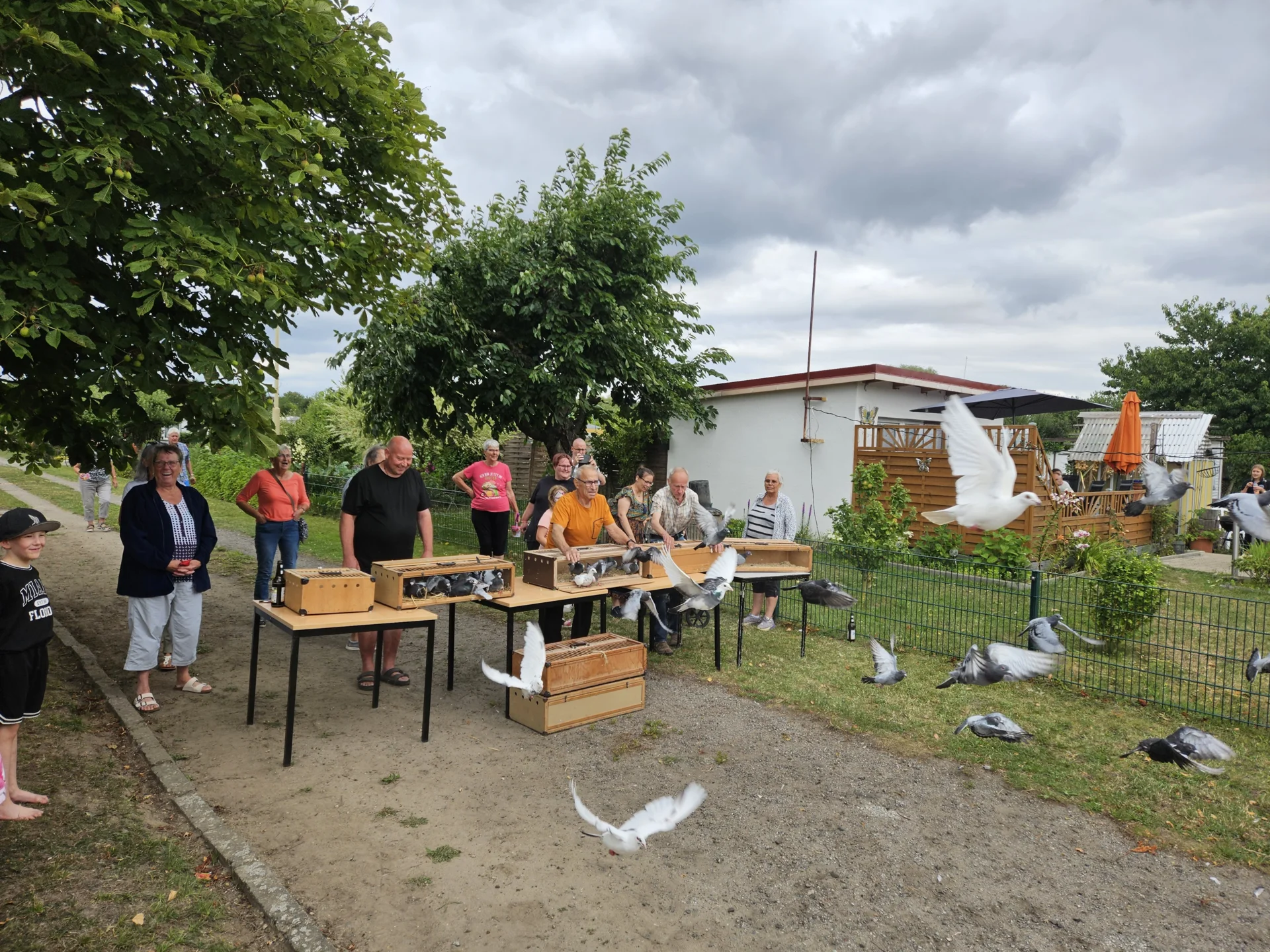 Bild der Galerie