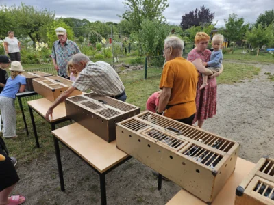 Foto des Albums: Kinder- und Gartenfest 2026 im KGV Einigkeit Greifswald e.V.