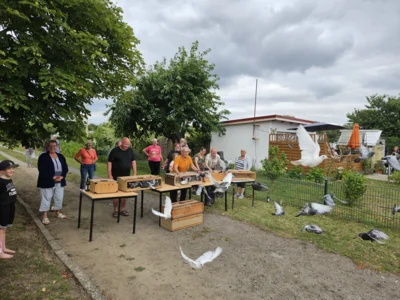 Foto des Albums: Kinder- und Gartenfest 2026 im KGV Einigkeit Greifswald e.V.