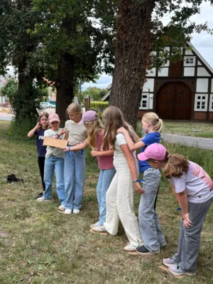 Foto des Albums: Zelabo 2026 - Tag 3 und 4