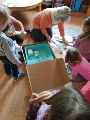 Foto des Albums: Rückblick Juni-Juli Mini-, Kleine und Große Füchse
