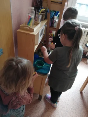 Foto des Albums: Rückblick Juni-Juli Mini-, Kleine und Große Füchse