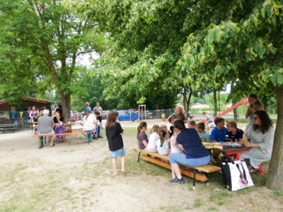 Foto des Albums: Rückblick Juni-Juli Mini-, Kleine und Große Füchse