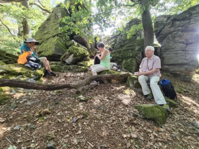 Foto des Albums: Sandplacken-Hohemark über Marmorstein