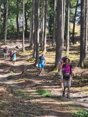 Foto des Albums: Sandplacken-Hohemark über Marmorstein