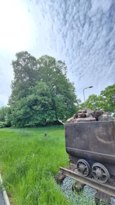 Foto des Albums: Guck ins Loch