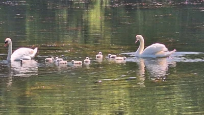 Foto des Albums: Guck ins Loch