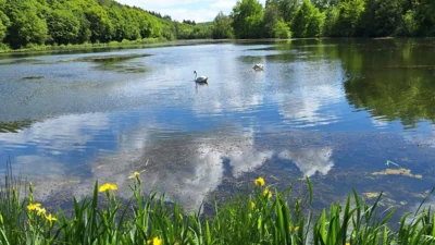 Foto des Albums: Guck ins Loch