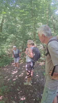 Foto des Albums: Jammertal