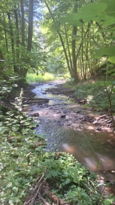Foto des Albums: Jammertal