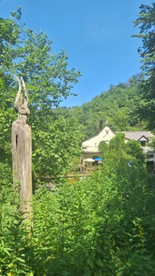 Foto des Albums: Jammertal