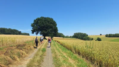 Foto des Albums: Jammertal