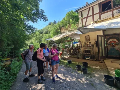 Foto des Albums: Jammertal