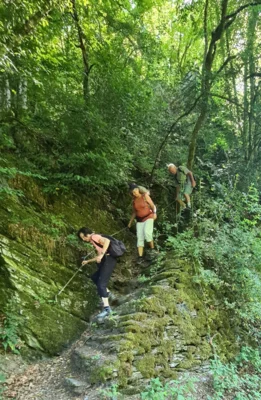 Foto des Albums: Jammertal