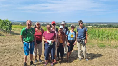 Foto des Albums: Schönste Weinsicht Herrenberg