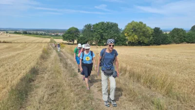 Foto des Albums: Schönste Weinsicht Herrenberg