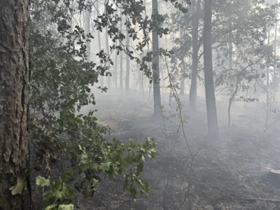 Foto des Albums: 090826 Waldbrand  Kleiner Stein