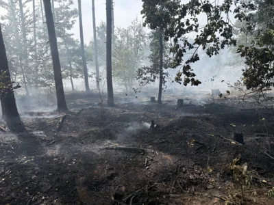 Foto des Albums: 090826 Waldbrand  Kleiner Stein