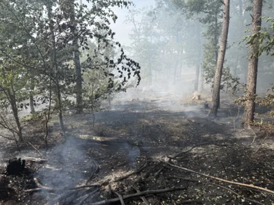 Foto des Albums: 090826 Waldbrand  Kleiner Stein