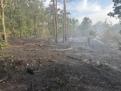 Foto des Albums: 090826 Waldbrand  Kleiner Stein