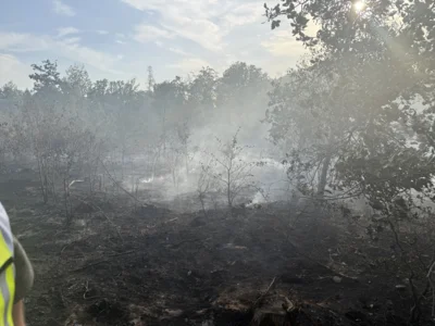Foto des Albums: 090826 Waldbrand  Kleiner Stein