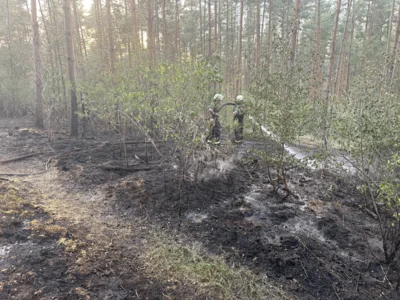 Foto des Albums: 090826 Waldbrand  Kleiner Stein