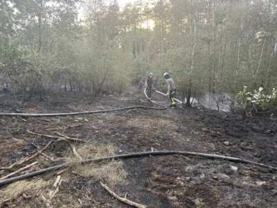 Foto des Albums: 090826 Waldbrand  Kleiner Stein
