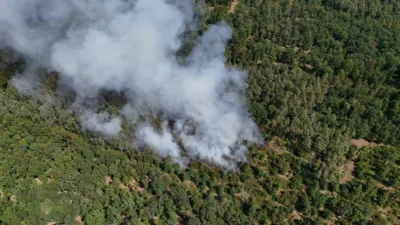 Foto des Albums: 090826 Waldbrand  Kleiner Stein