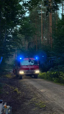 Foto des Albums: 090826 Waldbrand  Kleiner Stein