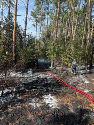 Foto des Albums: 090826 Waldbrand  Kleiner Stein