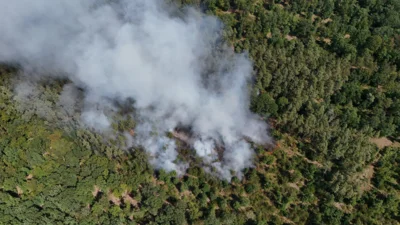 Foto des Albums: 090826 Waldbrand  Kleiner Stein