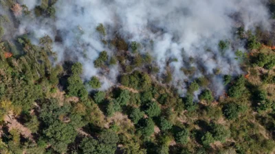 Foto des Albums: 090826 Waldbrand  Kleiner Stein
