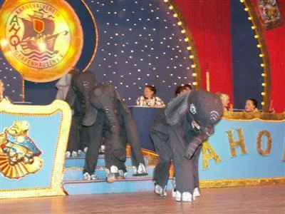 Foto des Albums: Kindersitzung 2006