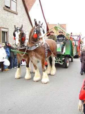 Foto des Albums: AEWG-Umzug 2006