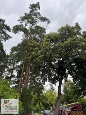 Foto des Albums: Einsatz Nr.:97/2026 H:klein