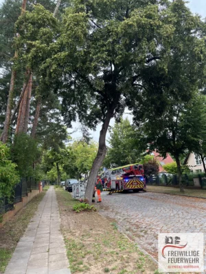 Foto des Albums: Einsatz Nr.:97/2026 H:klein