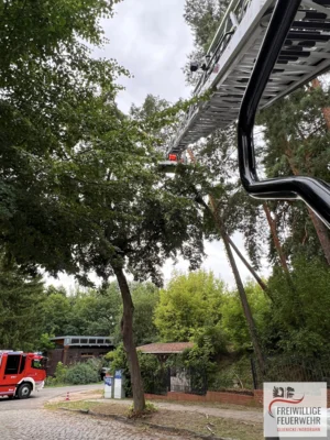 Foto des Albums: Einsatz Nr.:97/2026 H:klein