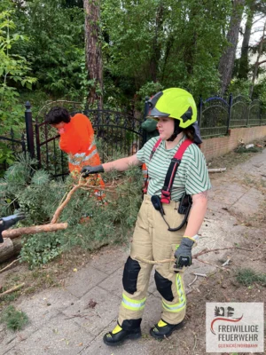 Foto des Albums: Einsatz Nr.:97/2026 H:klein