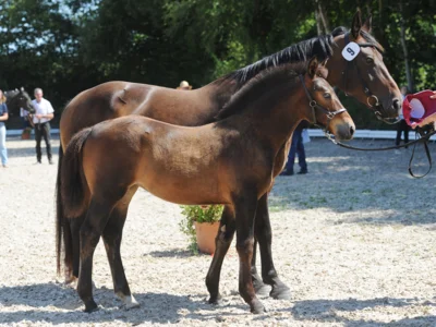 Eros D/Holly 