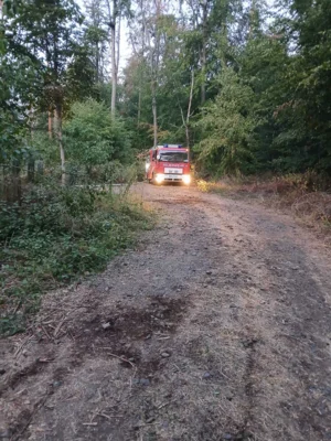 Foto des Albums: Waldbrand Rodenbach
