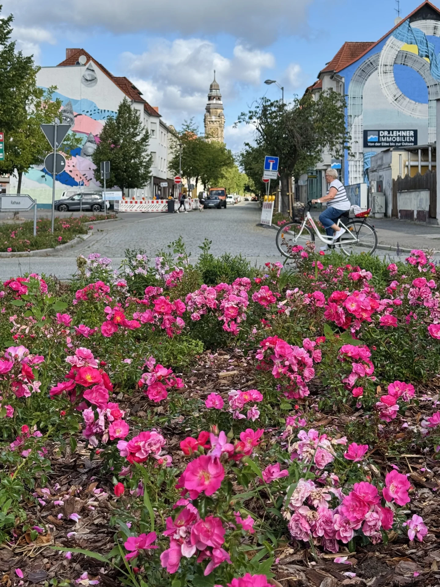 Bild: Bereits im Mai waren die alten Kleinstrauchrosen entfernt, die Böden ausgetauscht und die Flächen am Stern und in den einmündenden Straßen neu bepflanzt worden.